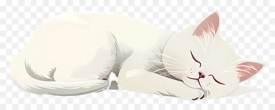 кошка спит，белый кот PNG