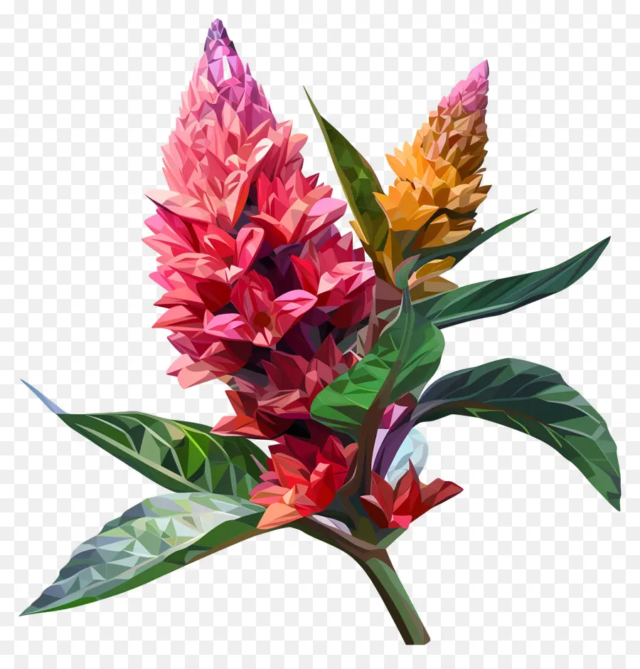 цифровой цветок，Красочные цветы PNG