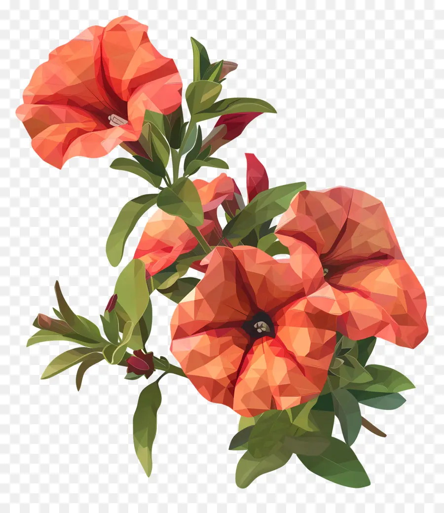 цифровой цветок，оранжевые цветы PNG