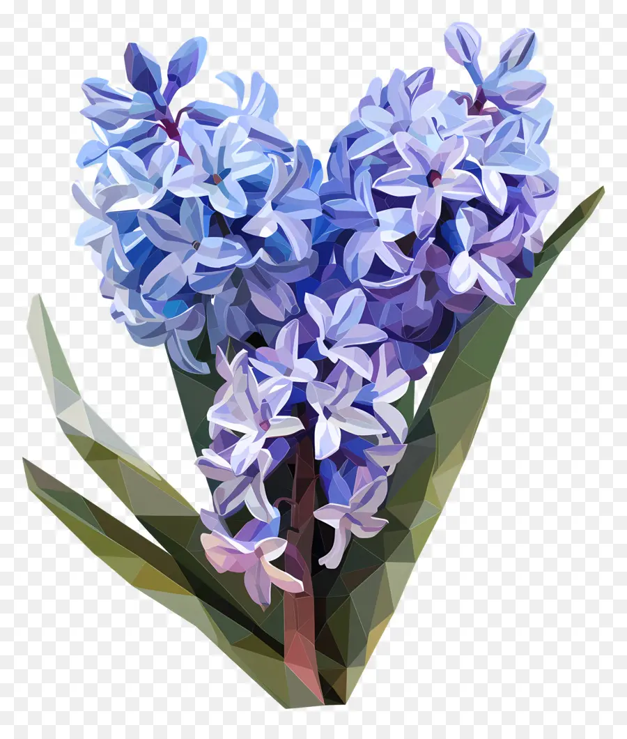 цифровой цветок，Синие гиацинт цветы PNG