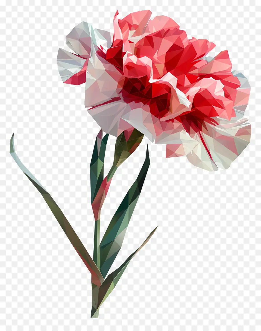 цифровой цветок，розовая гвоздика PNG