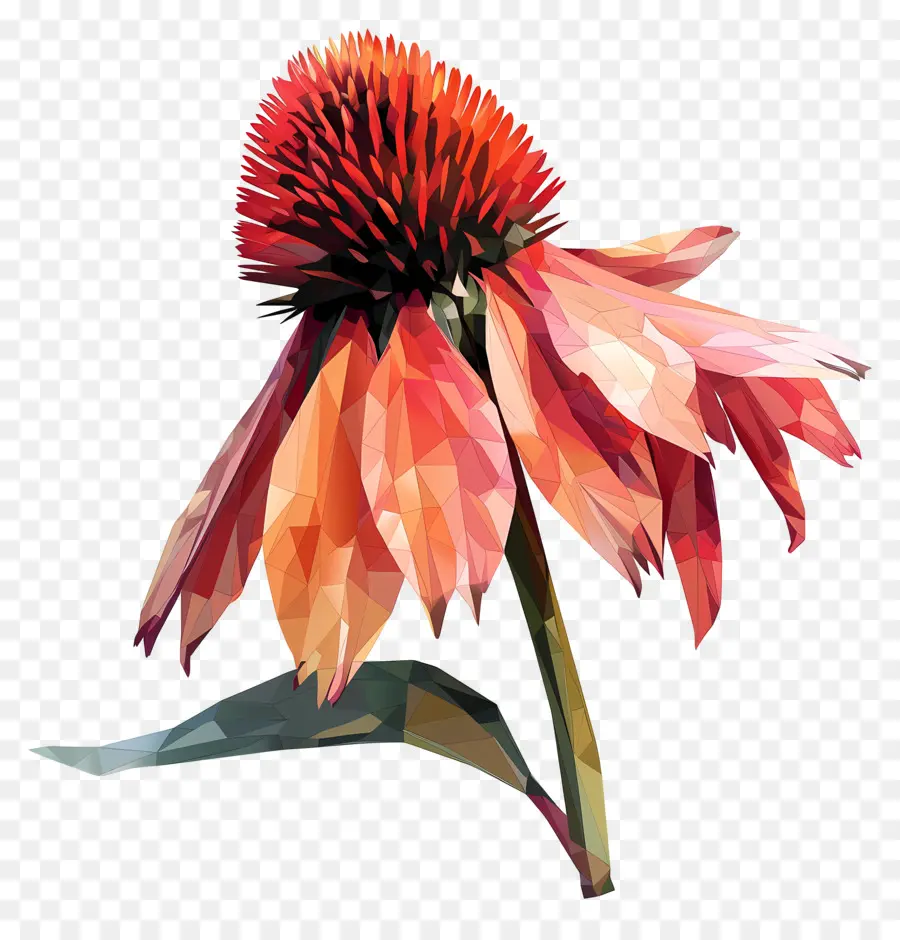 цифровой цветок，Конус цветок PNG