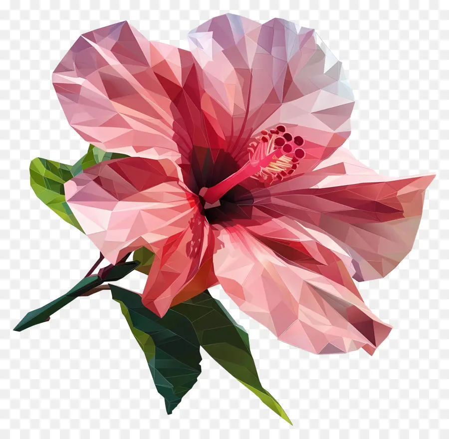 Цифровое цветочное искусство，Розовый гибикус PNG