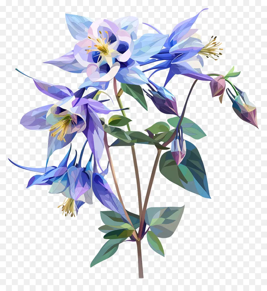 цифровой цветок，Синие колумбинские цветы PNG