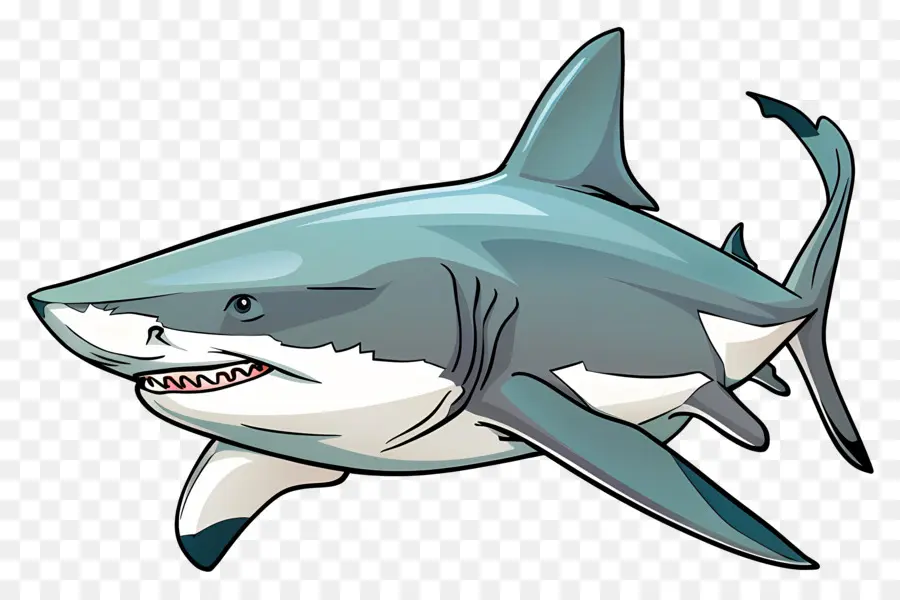 Бычья акула，Большая белая акула PNG