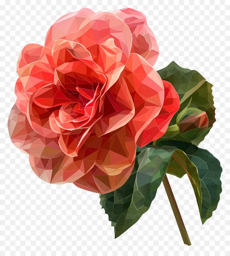 цифровой цветок，красная роза PNG