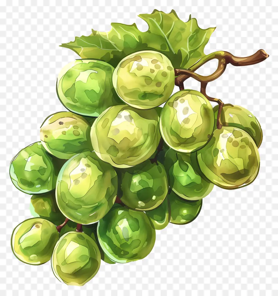 Зеленый виноград，Спелые PNG