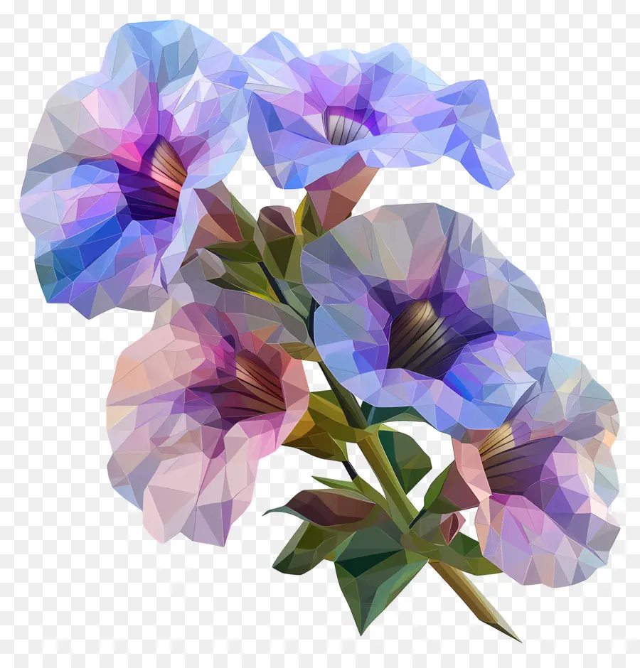 цифровой цветок，Гладиолус PNG