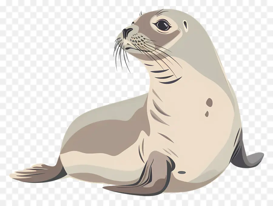 Seal，серая печать PNG
