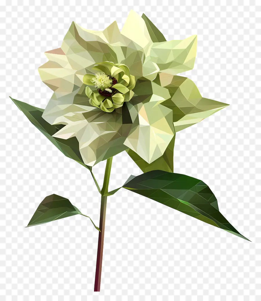 цифровой цветок，Белая камелия PNG