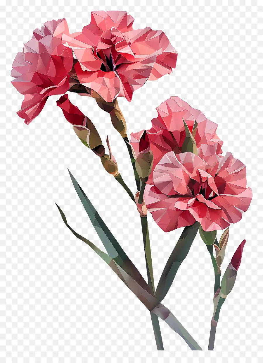 цифровой цветок，розовый цветок PNG