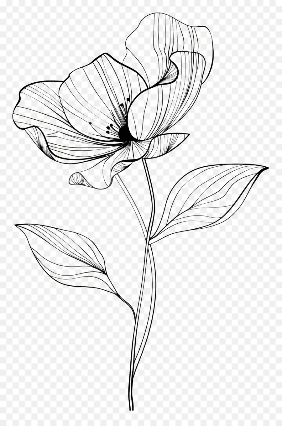 цветок，Графики PNG