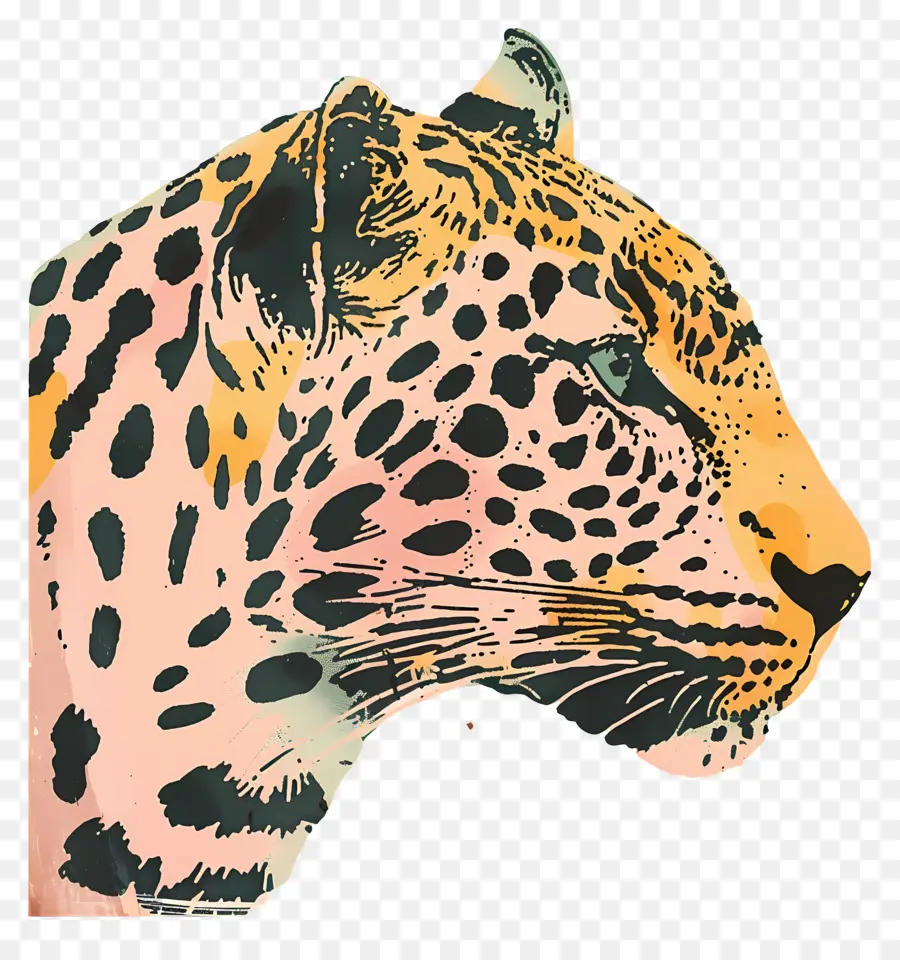 леопард，дикой природы PNG