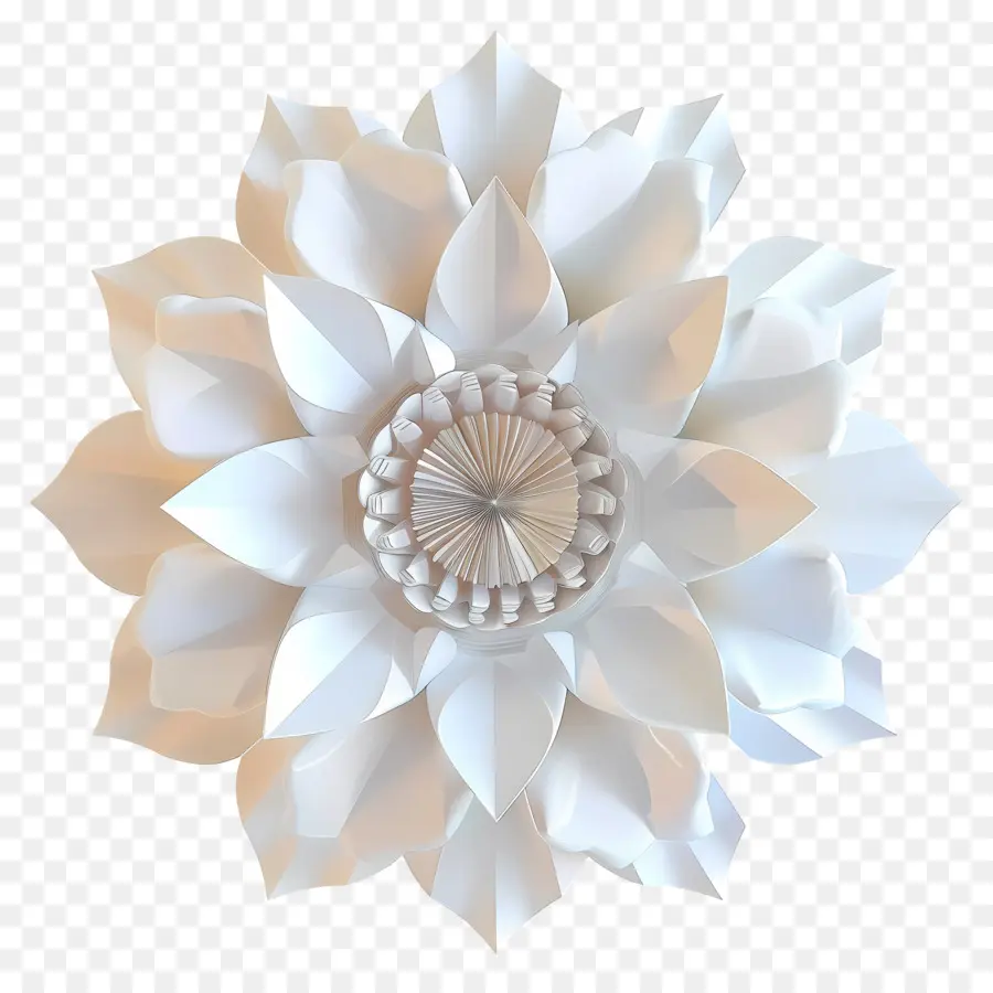 цифровой цветок，бумажный цветок PNG