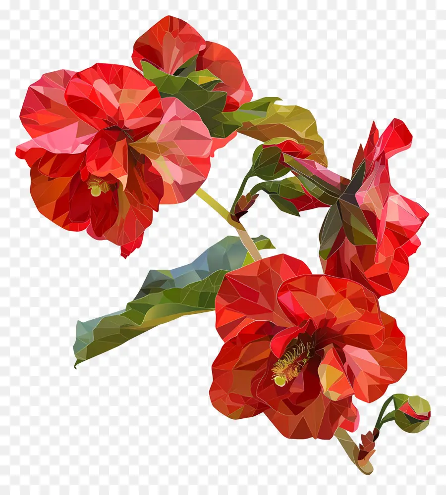 цифровой цветок，Красные цветы гибискуса PNG