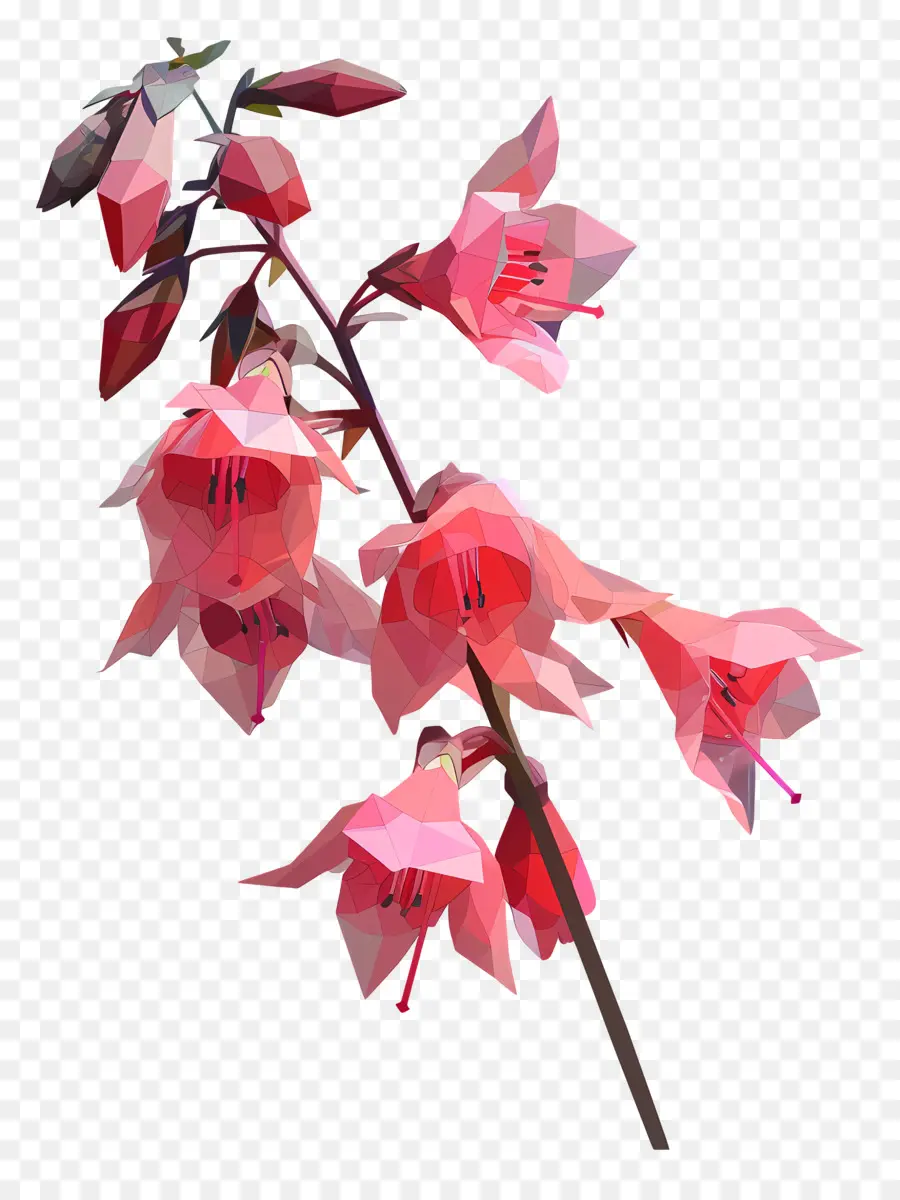 цифровой цветок，Розовые цветы PNG