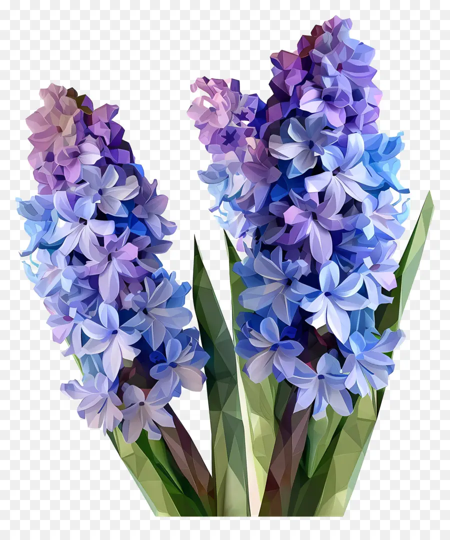 цифровой цветок，фиолетовые гиацинты PNG