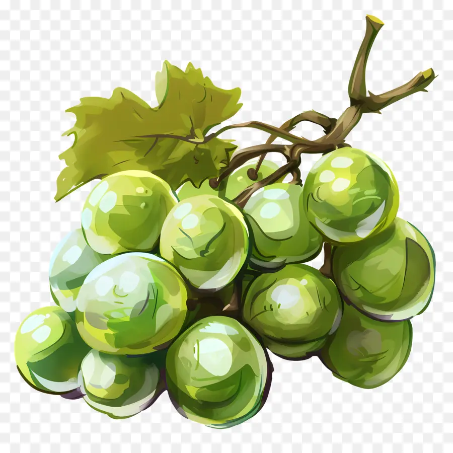 Зеленый виноград，Сочные PNG