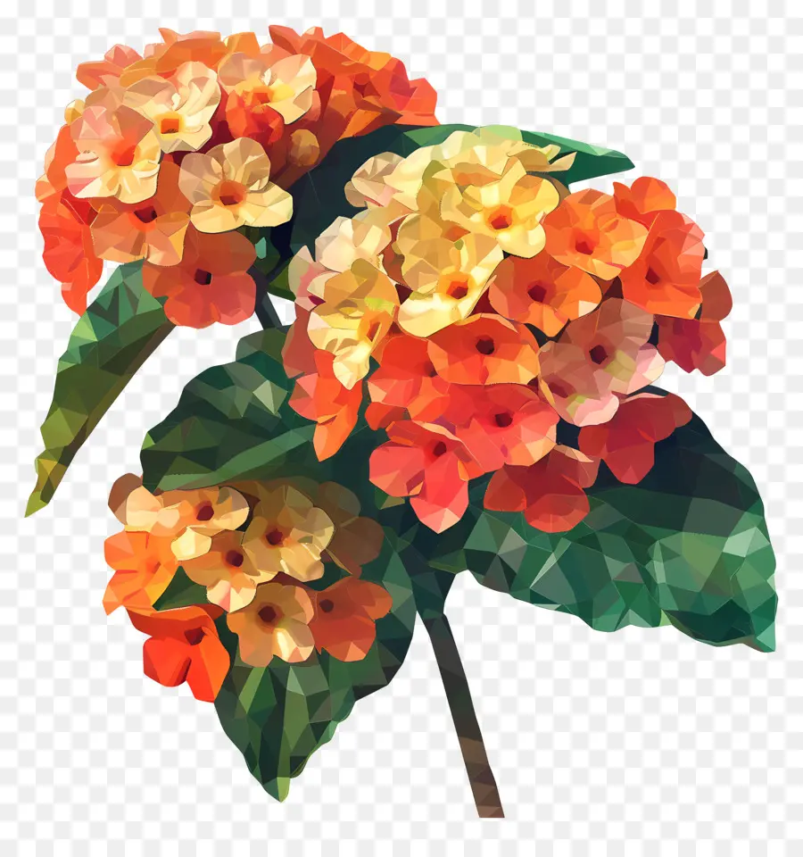 Цифровое цветочное искусство，цветы гибискуса PNG