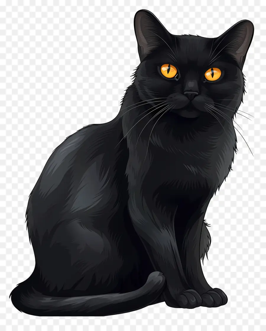 Черный кот，Золотые глаза PNG