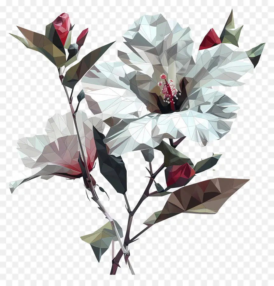 Цифровое цветочное искусство，цветок гибискуса PNG