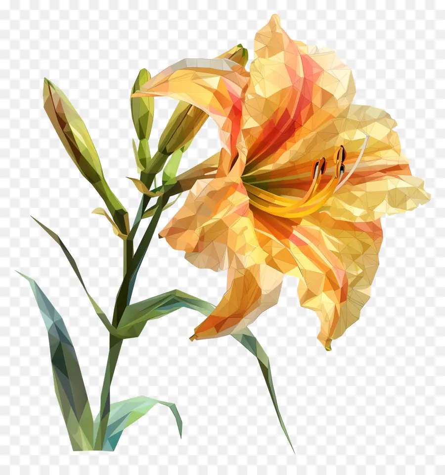 цифровой цветок，желтый лилейник PNG