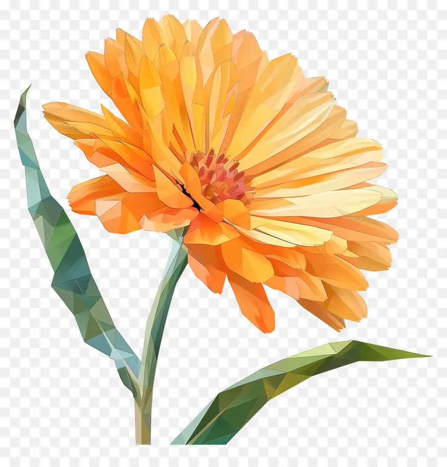 цифровой цветок，Оранжевый кактус цветок PNG
