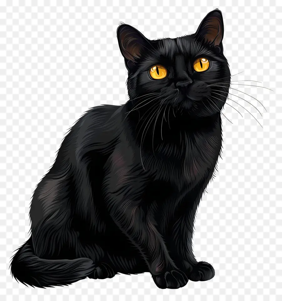Черный кот，пушистые PNG