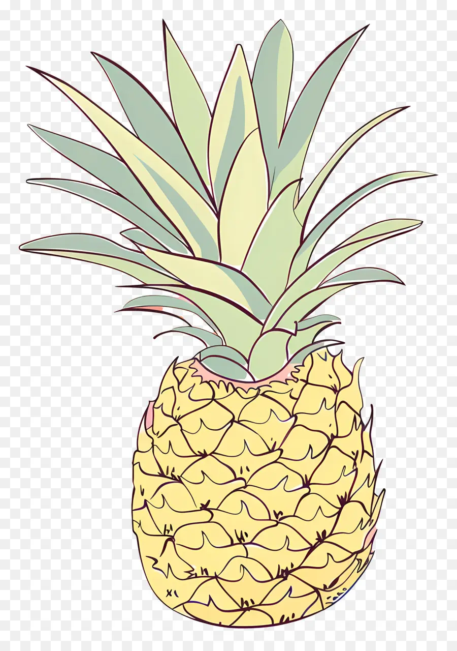 Pineapple，Фрукты PNG