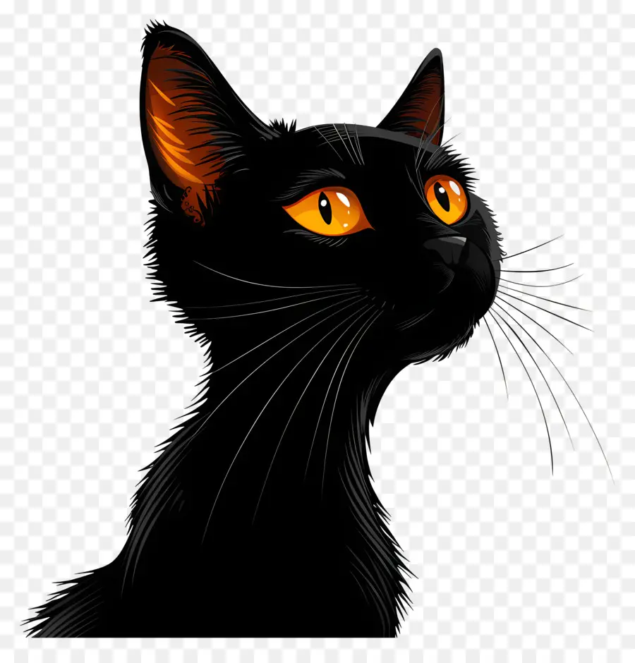 Черный кот，оранжевые глаза PNG