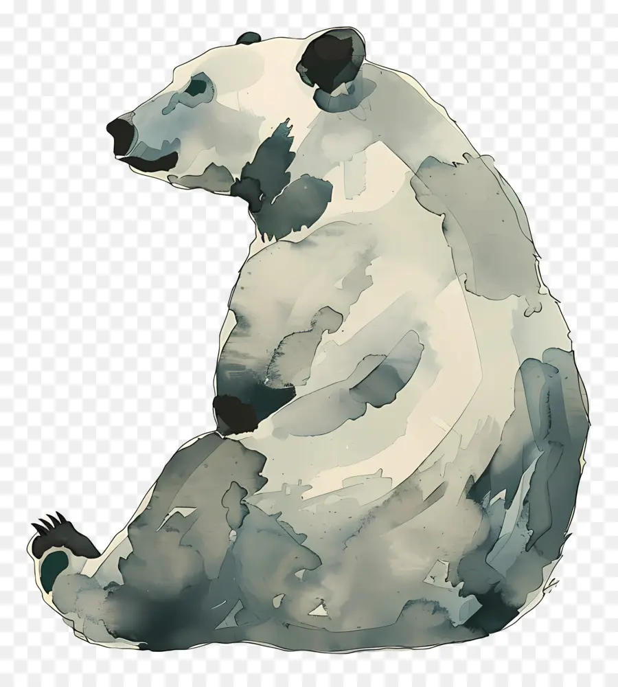 медведь，Бурый медведь PNG
