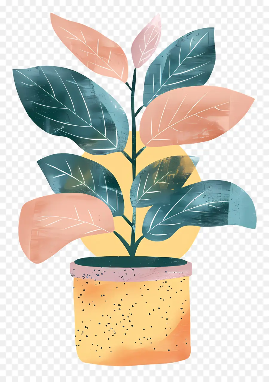 горшечные растения，акварельные иллюстрации PNG