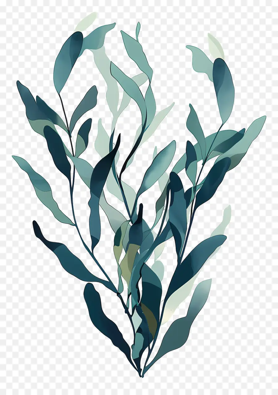 водоросли водорослей，Листовое растение PNG
