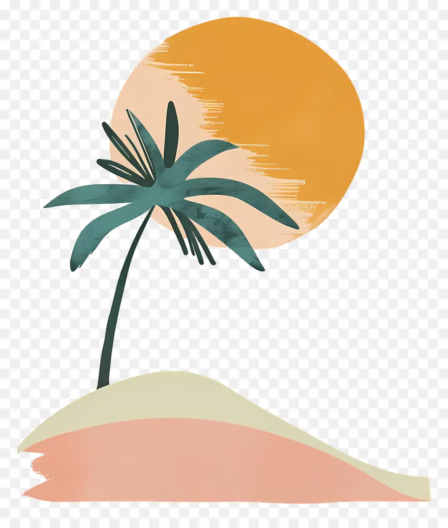 лето，пальму PNG