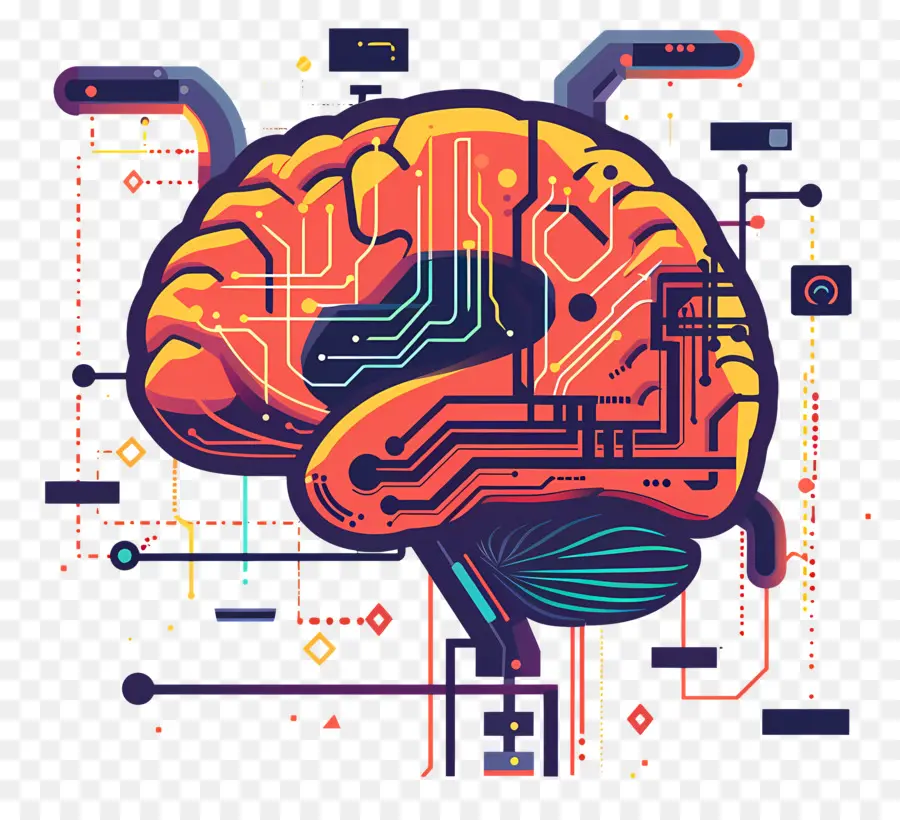 мозговой кибер，Человеческий мозг PNG