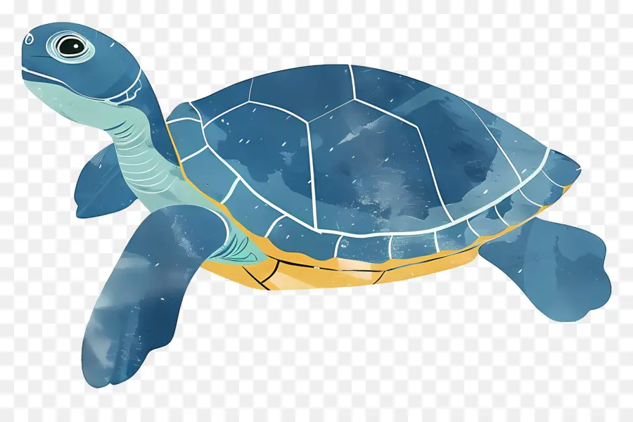 мультфильм черепаха，Голубая морская черепаха PNG