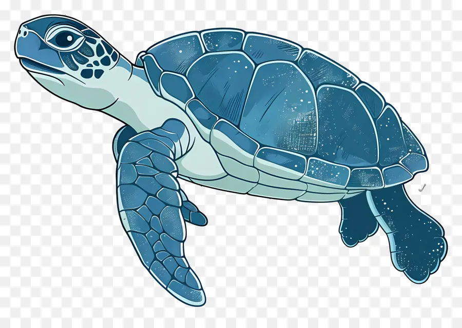 мультфильм черепаха，Голубая черепаха PNG