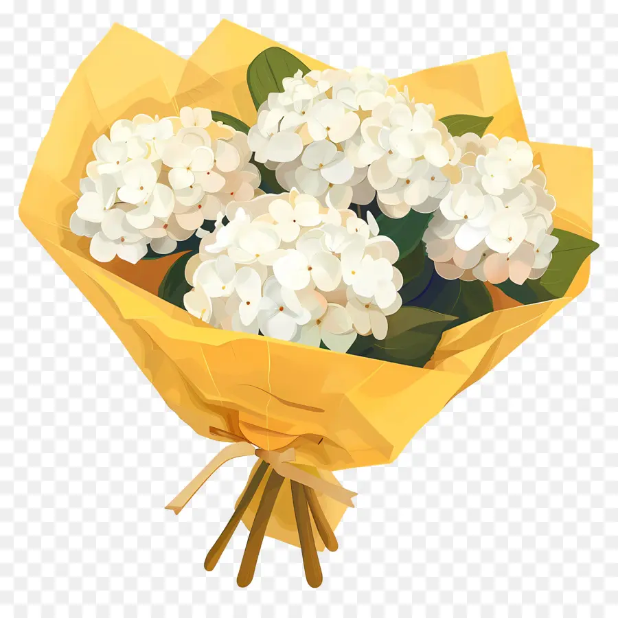 белый Гортензия，белые цветы PNG
