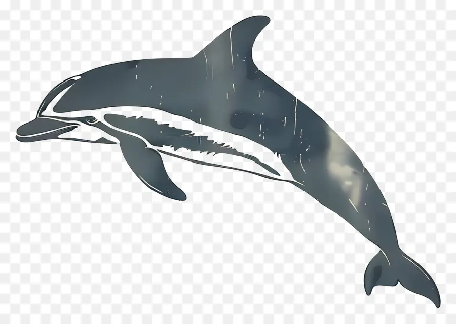 Дельфин，Прыжки PNG