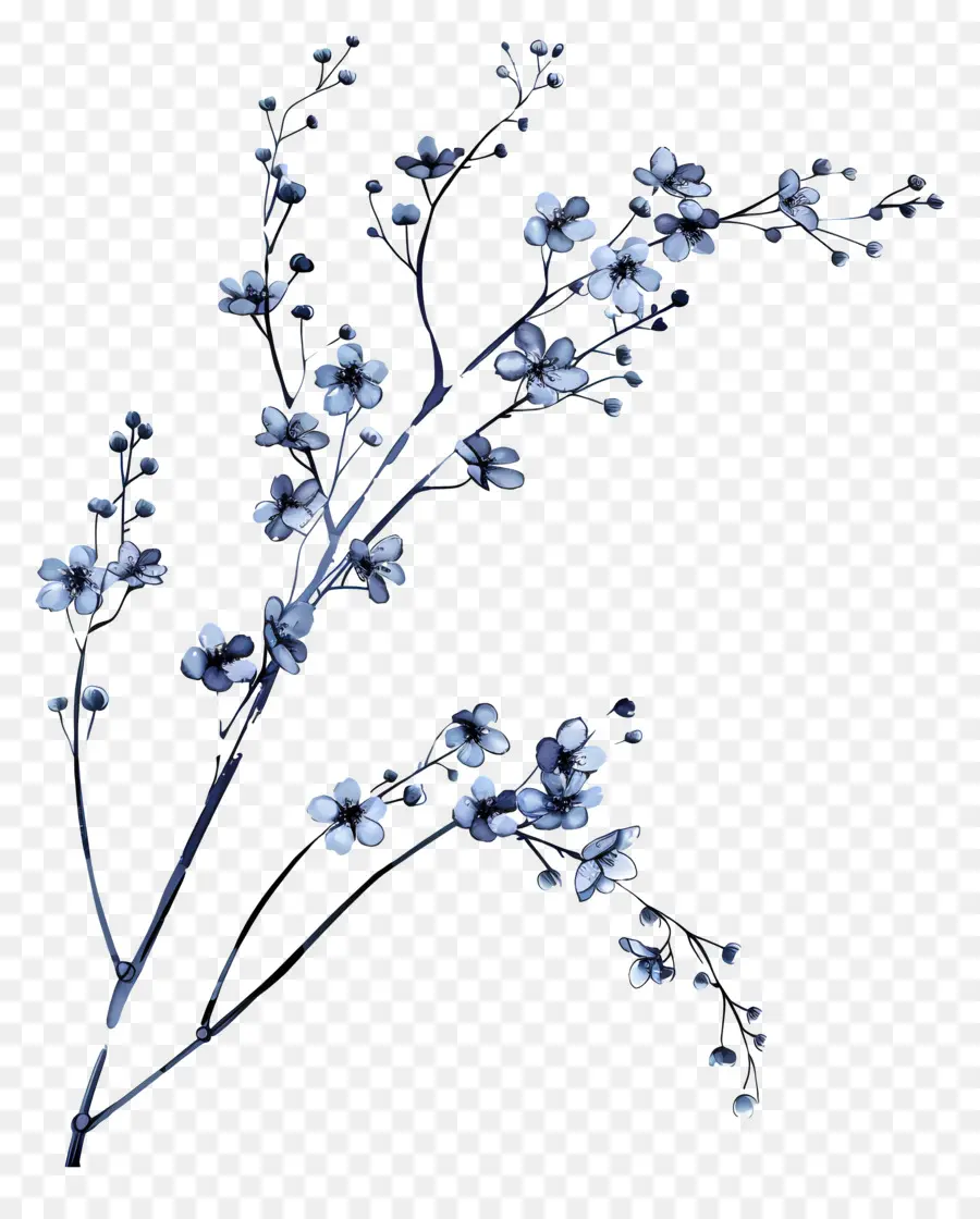 синие цветы，цветок сакуры PNG
