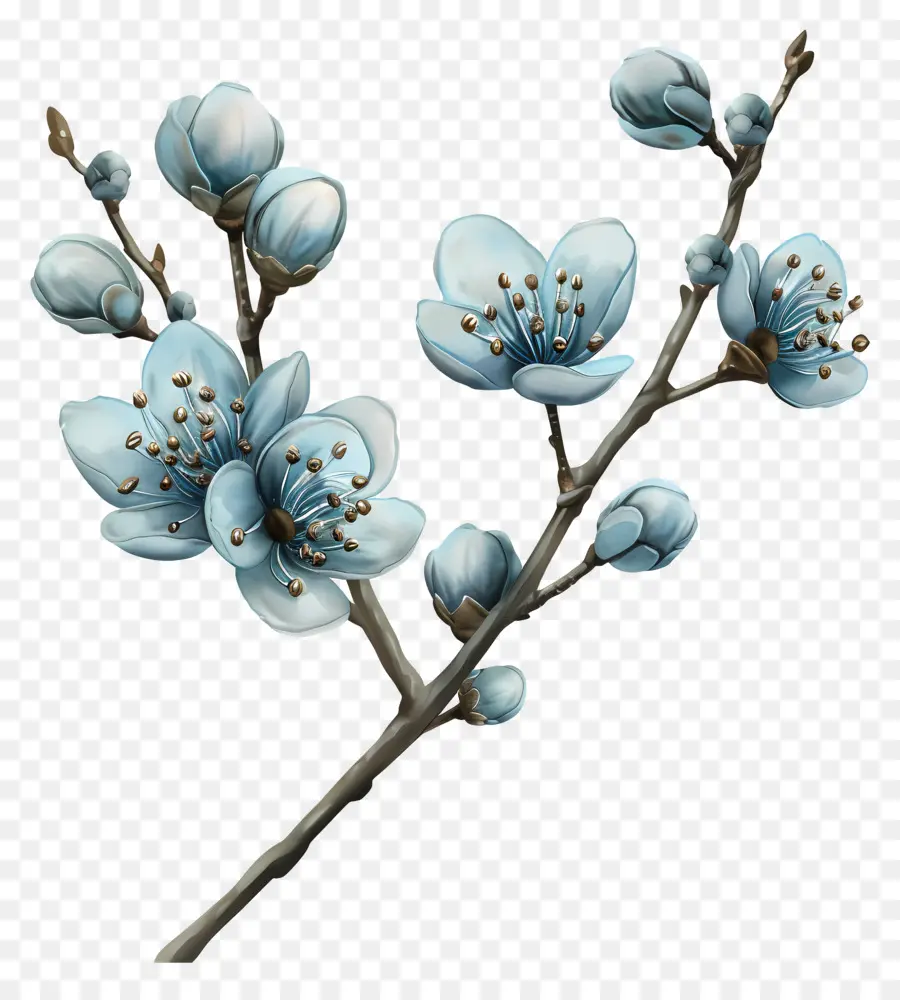 синие цветы，Филиал PNG
