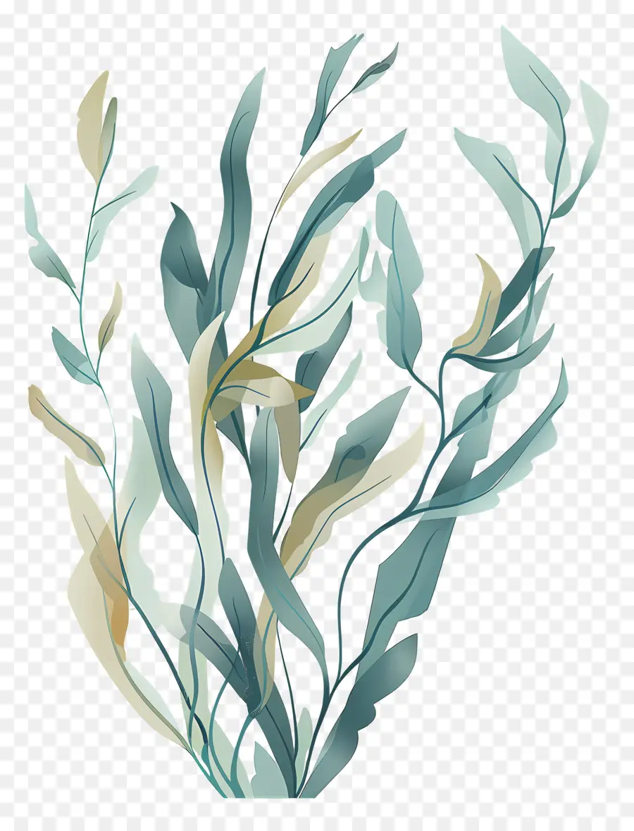 водоросли водорослей，Живопись морских водорослей PNG