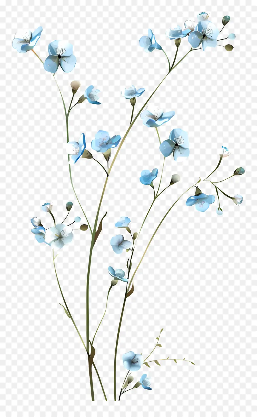 синие цветы，черный и белый PNG