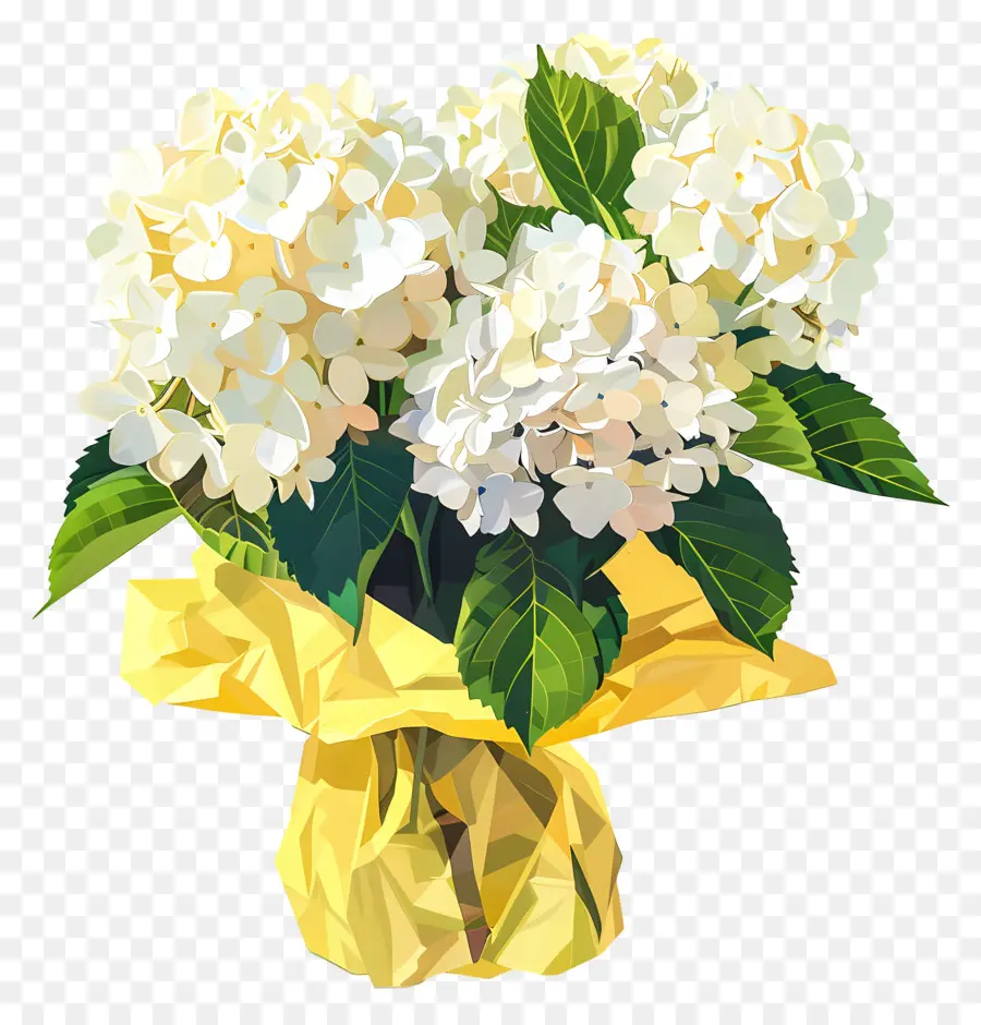 белый Гортензия，цветы PNG