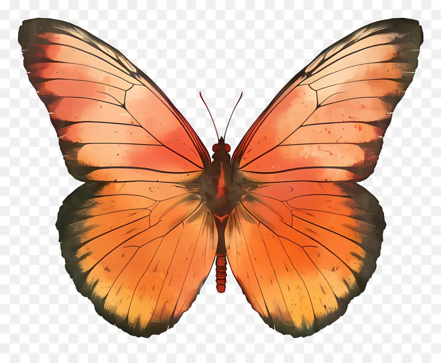 Бабочка，оранжевый PNG