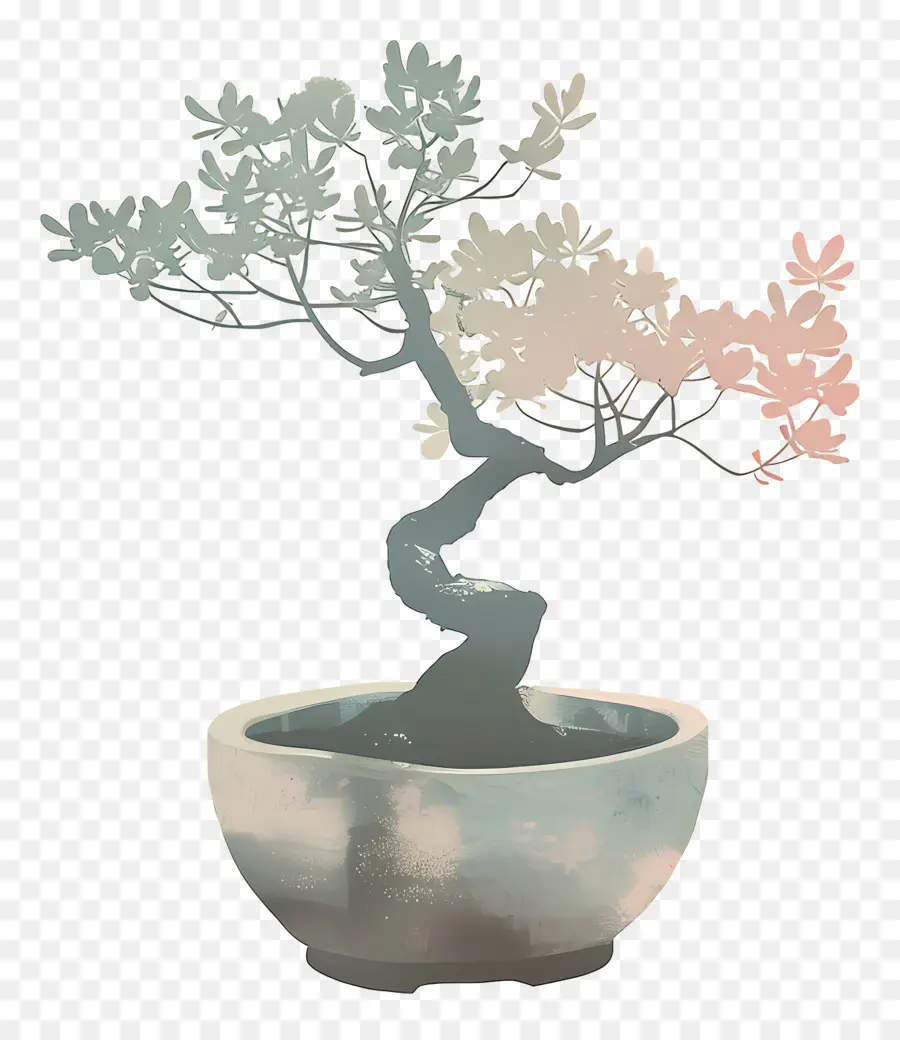 бонсай дерево，минималист PNG