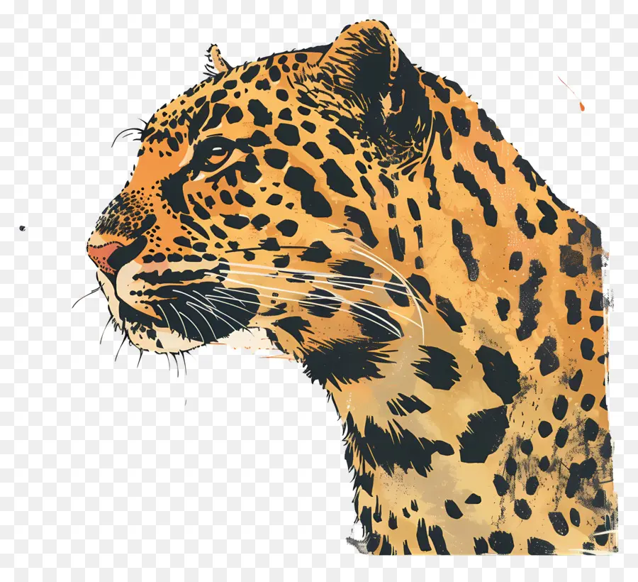 леопард，дикой природы PNG