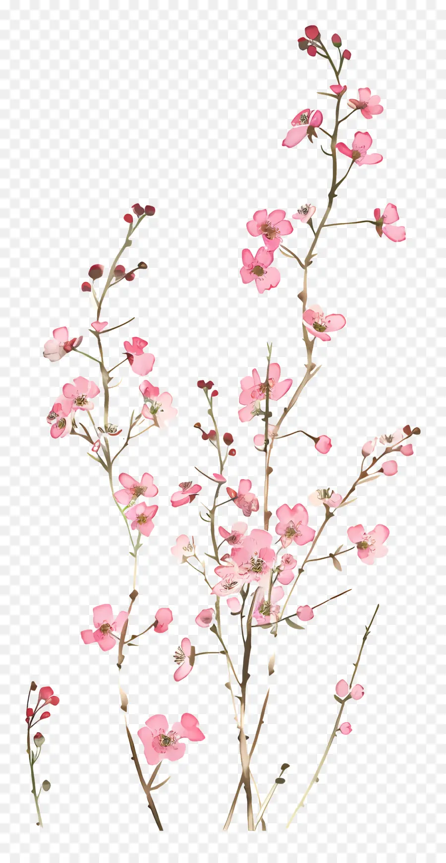 Розовые цветы，букет цветов PNG