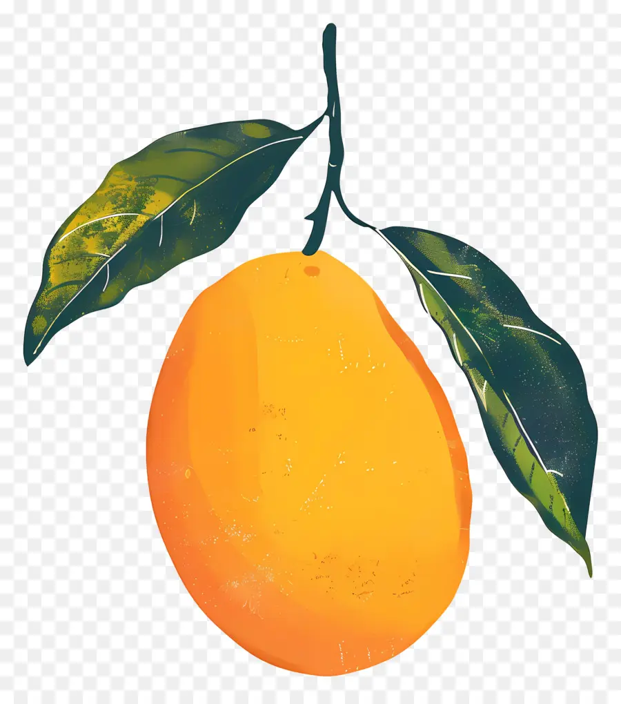 Манго，оранжевый PNG