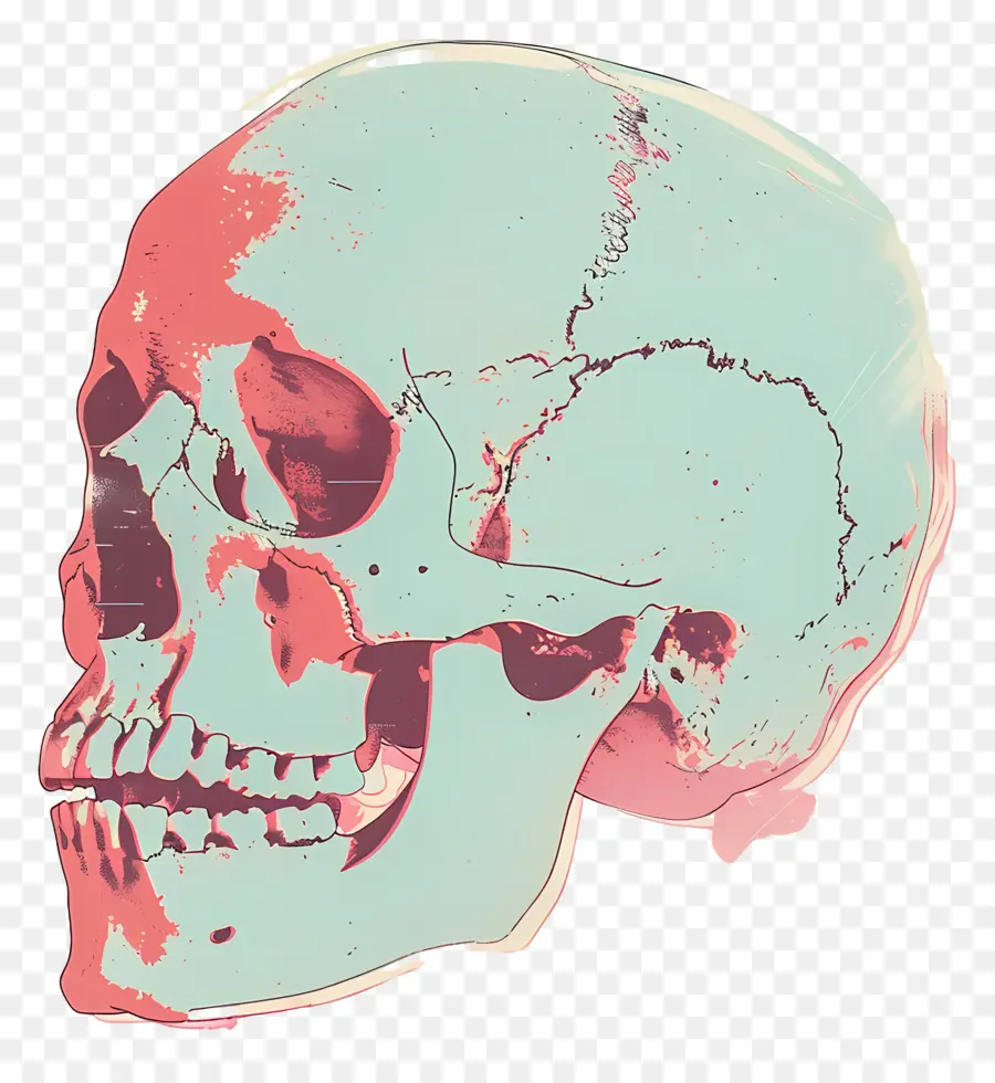 череп，трещины PNG